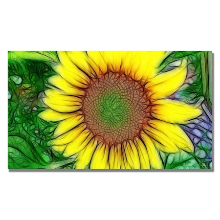 Kathie McCurdy 'Sunflower' Canvas Art,16x24